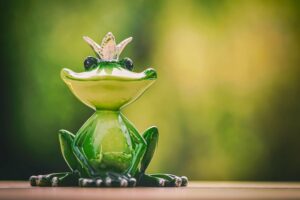 frog, frog prince, crown