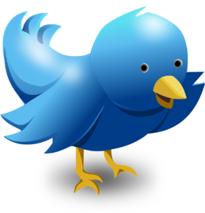 twitter, tweet, bird
